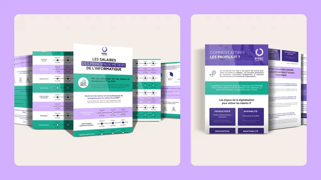Visuels de deux infographies réalisée pour Fitec.