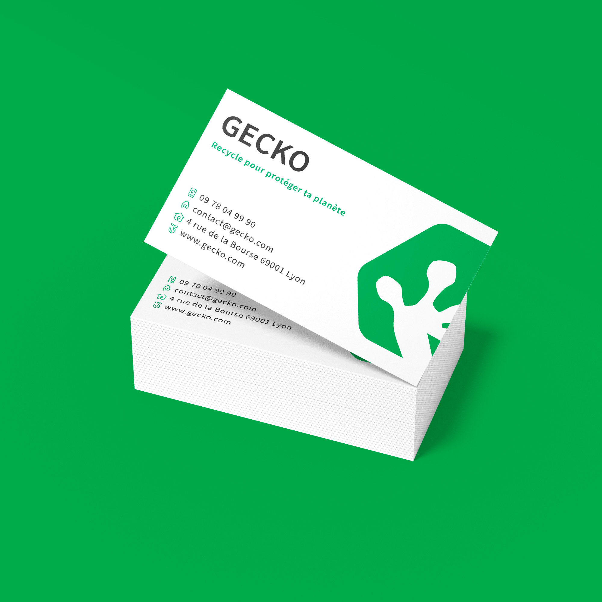 Gecko