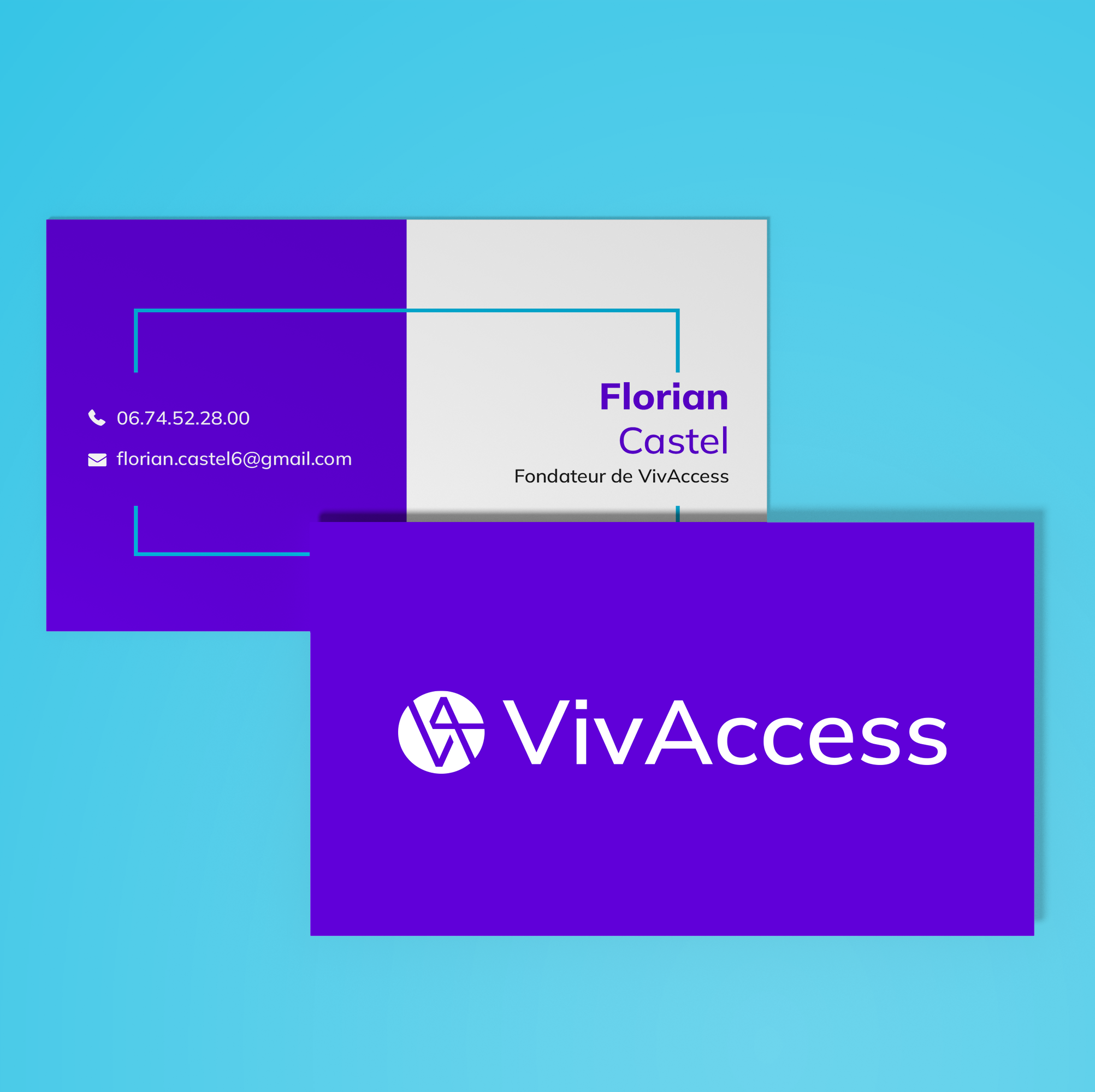 VivAccess